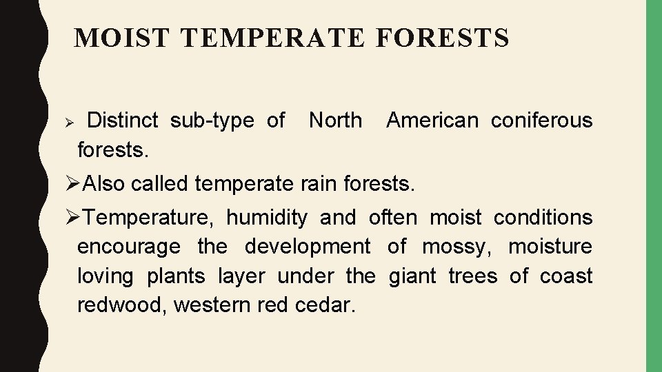 MOIST TEMPERATE FORESTS Ø Distinct sub-type of forests. North American coniferous ØAlso called temperate
