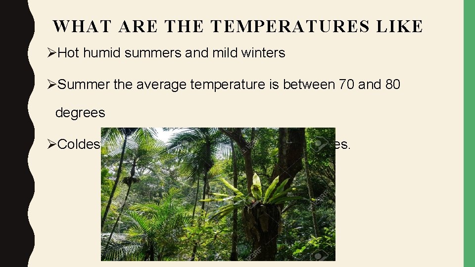 WHAT ARE THE TEMPERATURES LIKE ØHot humid summers and mild winters ØSummer the average