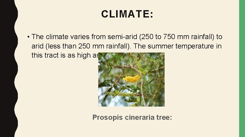 CLIMATE: • The climate varies from semi-arid (250 to 750 mm rainfall) to arid