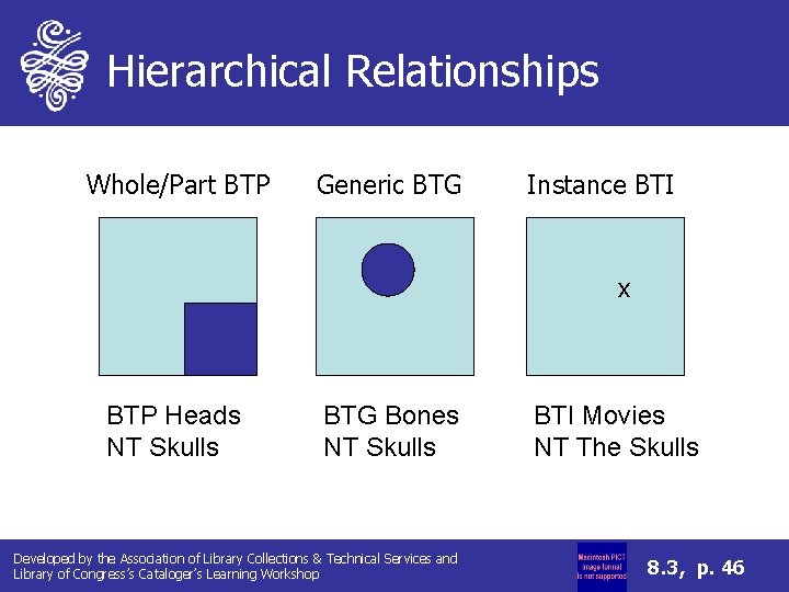 Hierarchical Relationships Whole/Part BTP Generic BTG Instance BTI x BTP Heads NT Skulls BTG