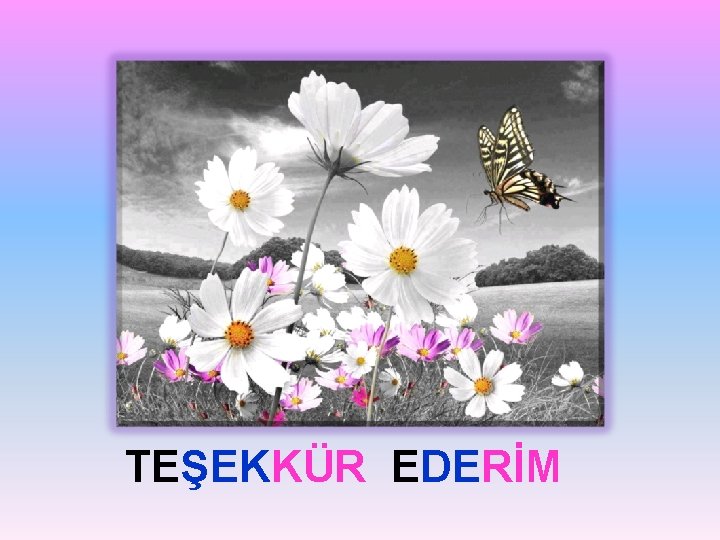 TEŞEKKÜR EDERİM 