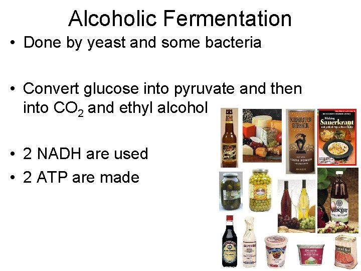 Alcoholic Fermentation • Done by yeast and some bacteria • Convert glucose into pyruvate