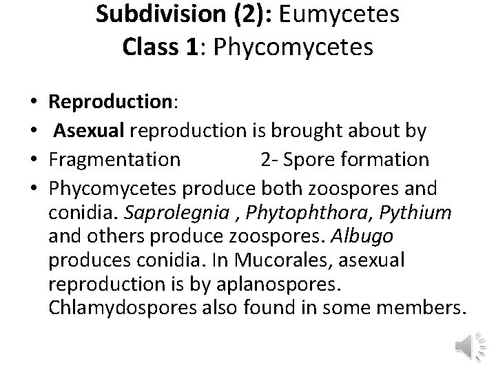 Subdivision (2): Eumycetes Class 1: Phycomycetes • • Reproduction: Asexual reproduction is brought about