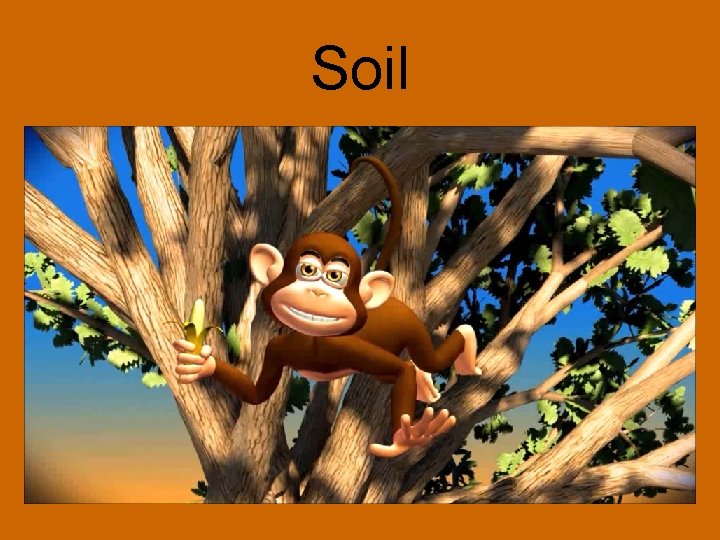 Soil 