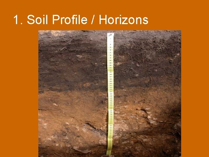 1. Soil Profile / Horizons 1. Soil Profile / Horizons