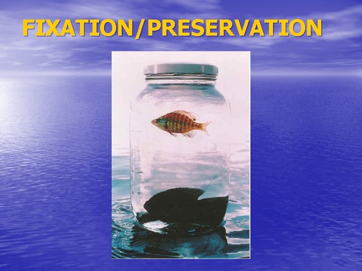 FIXATION/PRESERVATION 