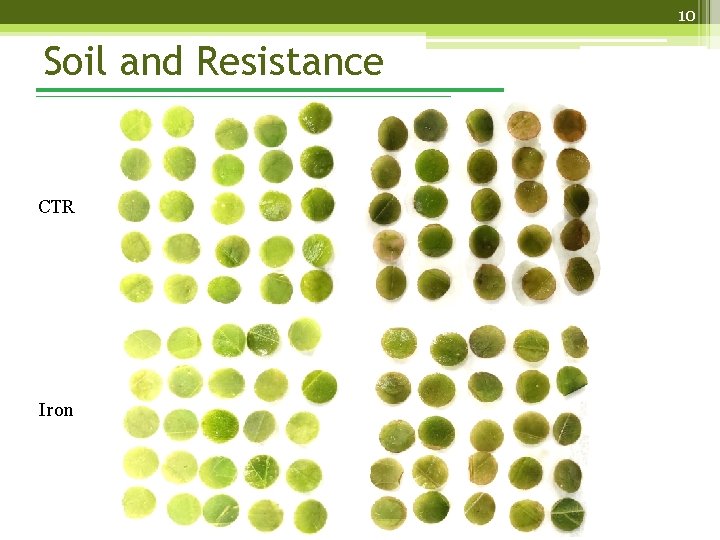10 Soil and Resistance CTR Iron 
