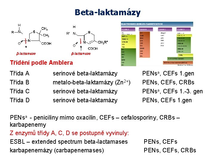 Beta-laktamázy Třídění podle Amblera Třída A serinové beta-laktamázy PENsa, CEFs 1. gen Třída B