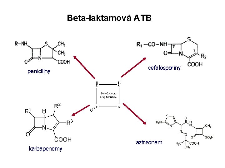 Beta-laktamová ATB peniciliny karbapenemy cefalosporiny aztreonam 