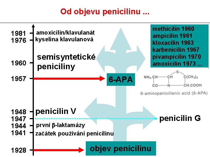 Od objevu penicilinu. . . 1981 1976 amoxicilin/klavulanát kyselina klavulanová 1960 semisyntetické peniciliny 1957