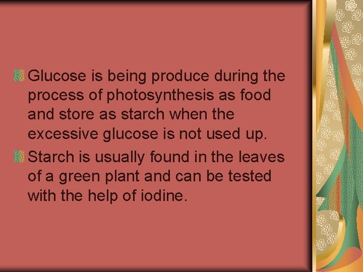 Glucose is being produce during the process of photosynthesis as food and store as