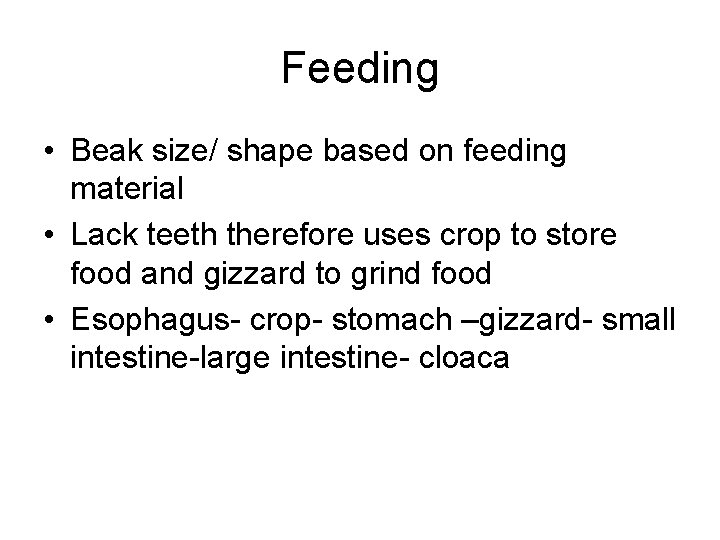 Feeding • Beak size/ shape based on feeding material • Lack teeth therefore uses