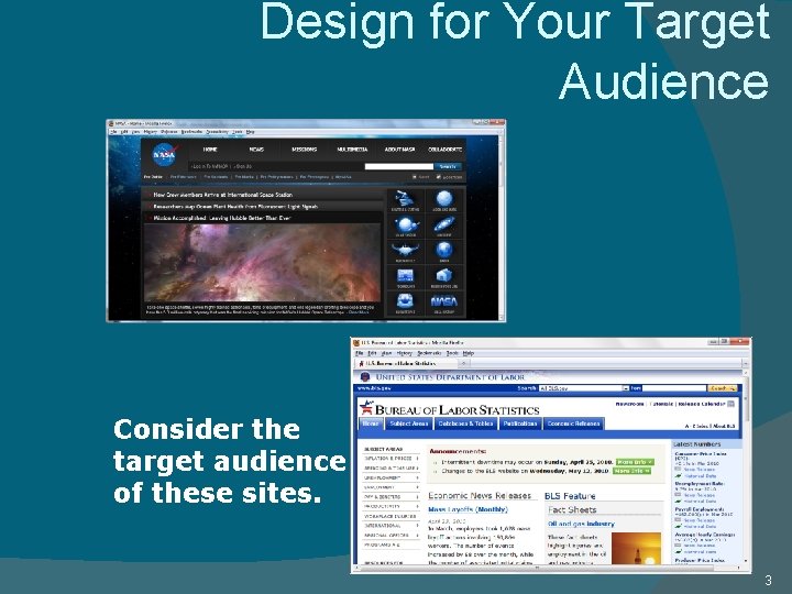 Design for Your Target Audience Consider the target audience of these sites. 3 