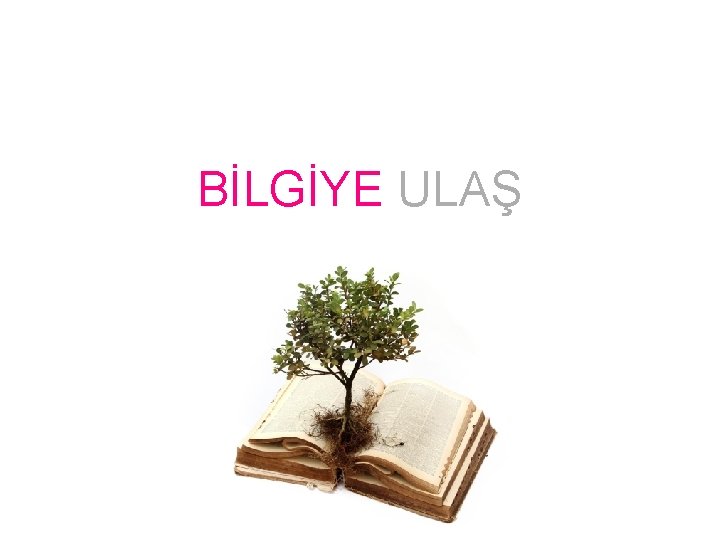 BİLGİYE ULAŞ 