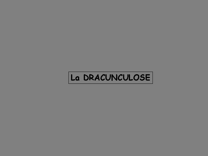 La DRACUNCULOSE 