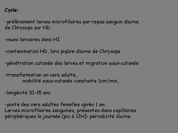 Cycle: -prélèvement larves microfilaires par repas sanguin diurne de Chrysops sur HD -mues larvaires