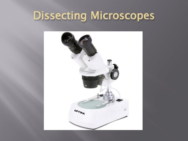 Dissecting Microscopes 