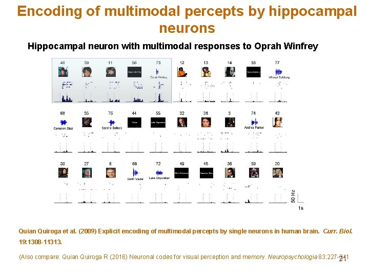 Encoding of multimodal percepts by hippocampal neurons Hippocampal neuron with multimodal responses to Oprah