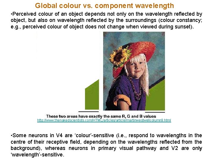 Global colour vs. component wavelength • Perceived colour of an object depends not only