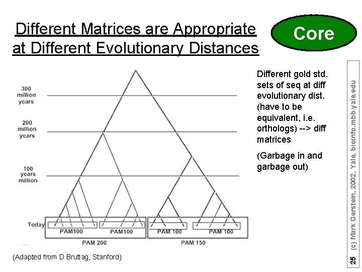 Core Different gold std. sets of seq at diff evolutionary dist. (have to be