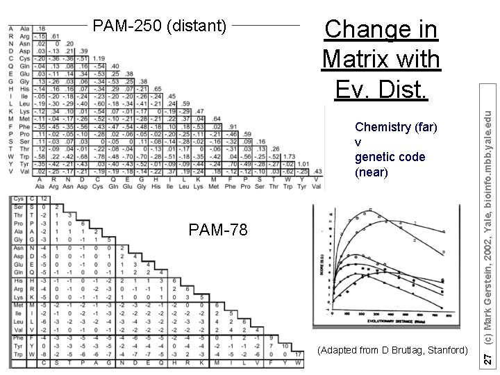 Change in Matrix with Ev. Dist. Chemistry (far) v genetic code (near) PAM-78 (Adapted