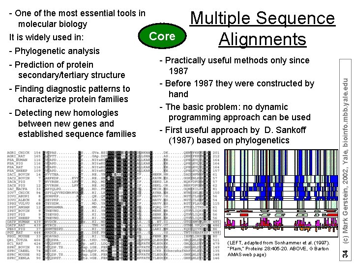 It is widely used in: - Phylogenetic analysis - Prediction of protein secondary/tertiary structure