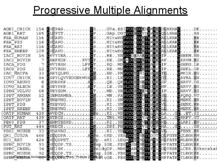 - Most multiple alignments based on this approach - Initial guess for a phylogenetic