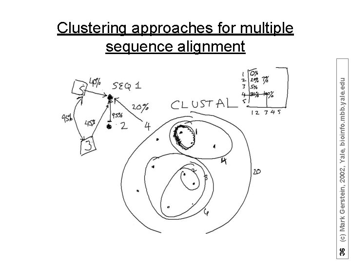 36 (c) Mark Gerstein, 2002, Yale, bioinfo. mbb. yale. edu Clustering approaches for multiple