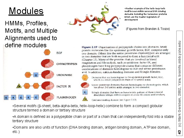 HMMs, Profiles, Motifs, and Multiple Alignments used to define modules motif is seen within