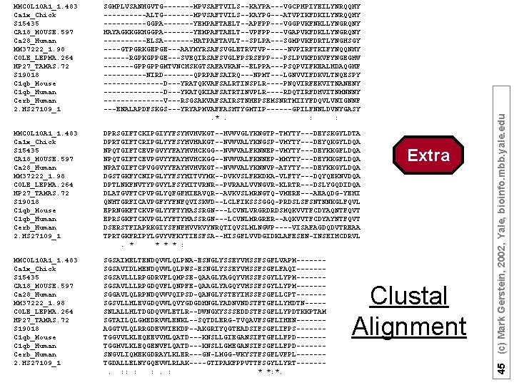 SGMPLVSANHGVTG-------MPVSAFTVILS--KAYPA---VGCPHPIYEILYNRQQHY -----ALTG-------MPVSAFTVILS--KAYPG---ATVPIKFDKILYNRQQHY -----GGPA-------YEMPAFTAELT--APFPP---VGGPVKFNKLLYNGRQNY HAYAGKKGKHGGPA-------YEMPAFTAELT--VPFPP---VGAPVKFDKLLYNGRQNY -----ELSA-------HATPAFTAVLT--SPLPA---SGMPVKFDRTLYNGHSGY ----GTPGRKGEPGE---AAYMYRSAFSVGLETRVTVP-----NVPIRFTKIFYNQQNHY ------RGPKGPPGE---SVEQIRSAFSVGLFPSRSFPP---PSLPVKFDKVFYNGEGHW -------GPPGPPGMTVNCHSKGTSAFAVKAN--ELPPA---PSQPVIFKEALHDAQGHF -----NIRD-------QPRPAFSAIRQ---NPMT---LGNVVIFDKVLTNQESPY -------D---YRATQKVAFSALRTINSPLR----PNQVIRFEKVITNANENY -------D---YKATQKIAFSATRTINVPLR----RDQTIRFDHVITNMNNNY -------V---RSGSAKVAFSAIRSTNHEPSEMSNRTMIIYFDQVLVNIGNNF ---ENALAPDFSKGS---YRYAPMVAFFASHTYGMTIP------GPILFNNLDVNYGASY. *.