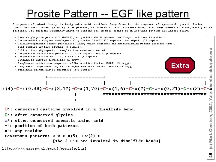 Prosite Pattern -- EGF like pattern - Bone morphogenic protein 1 (BMP-1), a protein