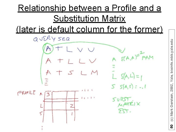 50 (c) Mark Gerstein, 2002, Yale, bioinfo. mbb. yale. edu Relationship between a Profile