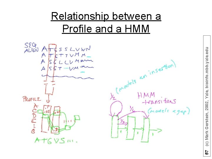 57 (c) Mark Gerstein, 2002, Yale, bioinfo. mbb. yale. edu Relationship between a Profile