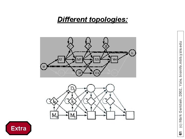 Extra 61 (c) Mark Gerstein, 2002, Yale, bioinfo. mbb. yale. edu Different topologies: 