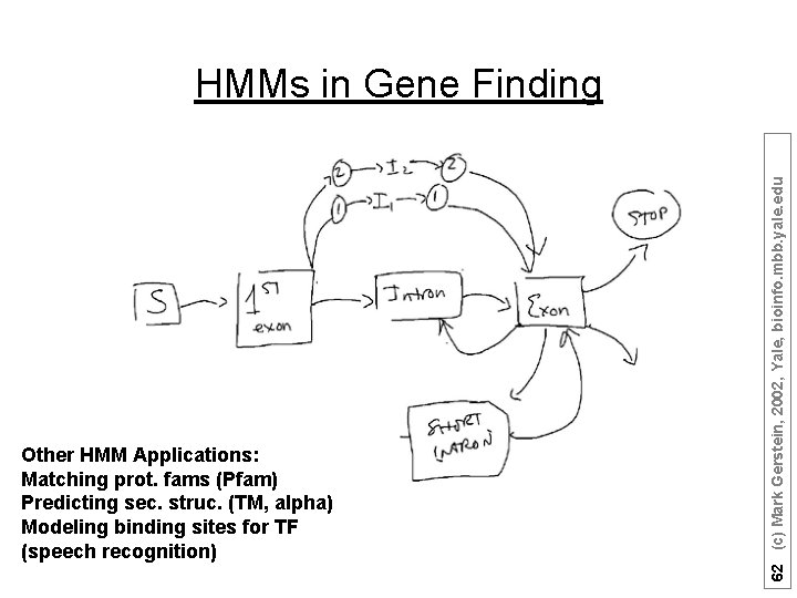 Other HMM Applications: Matching prot. fams (Pfam) Predicting sec. struc. (TM, alpha) Modeling binding