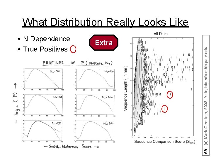 What Distribution Really Looks Like Extra 69 (c) Mark Gerstein, 2002, Yale, bioinfo. mbb.