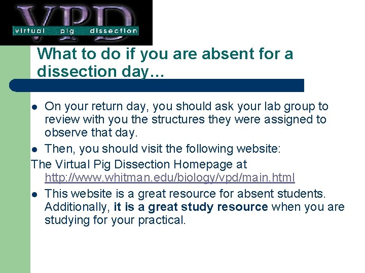 What to do if you are absent for a dissection day… On your return