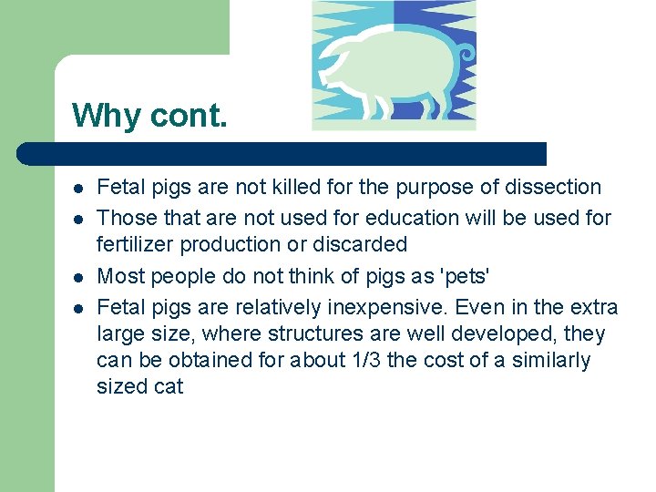 Why cont. l l Fetal pigs are not killed for the purpose of dissection