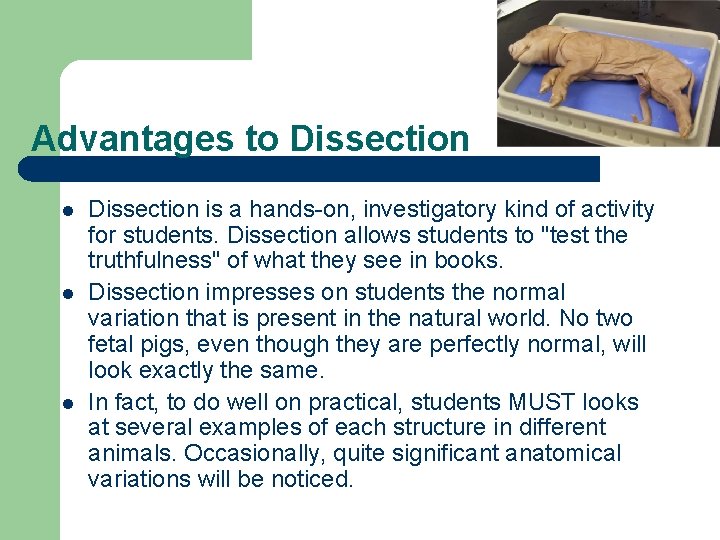 Advantages to Dissection l l l Dissection is a hands-on, investigatory kind of activity