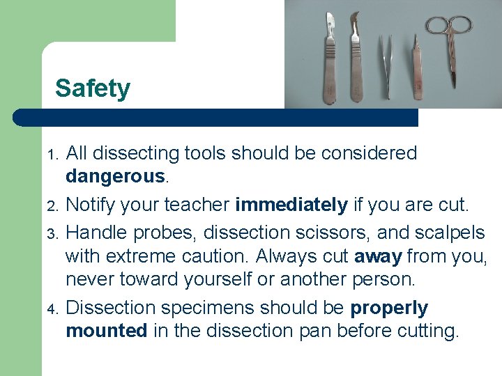 Safety 1. 2. 3. 4. All dissecting tools should be considered dangerous. Notify your