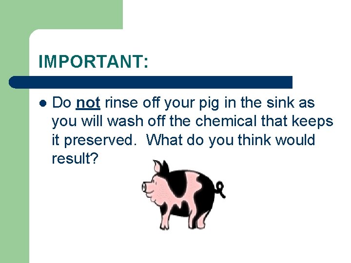 IMPORTANT: l Do not rinse off your pig in the sink as you will