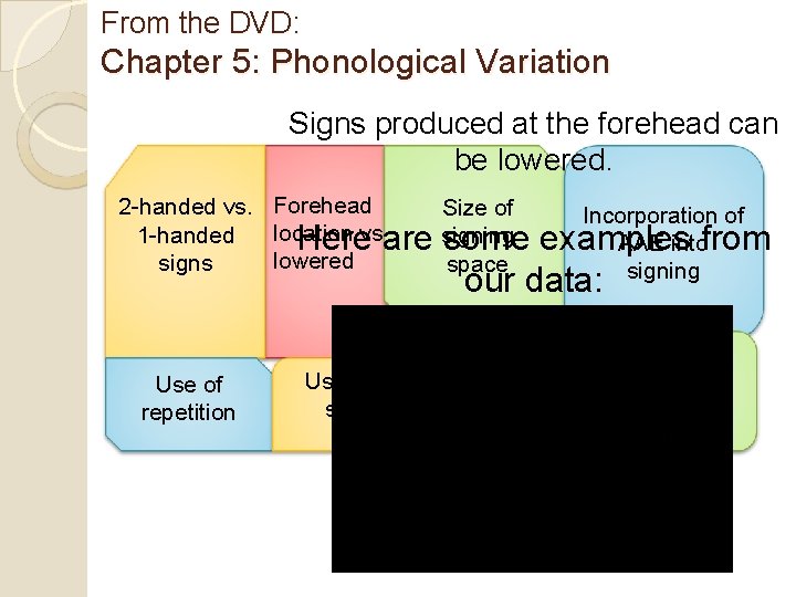 From the DVD: Chapter 5: Phonological Variation Signs produced at the forehead can be