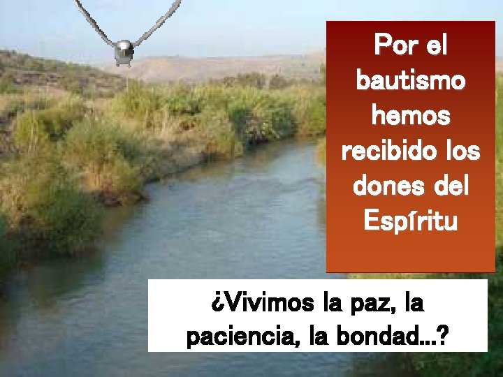 Por el bautismo hemos recibido los dones del Espíritu ¿Vivimos la paz, la paciencia,