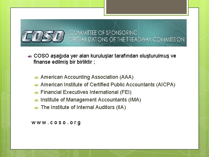  COSO aşağıda yer alan kuruluşlar tarafından oluşturulmuş ve finanse edilmiş birliktir ; American