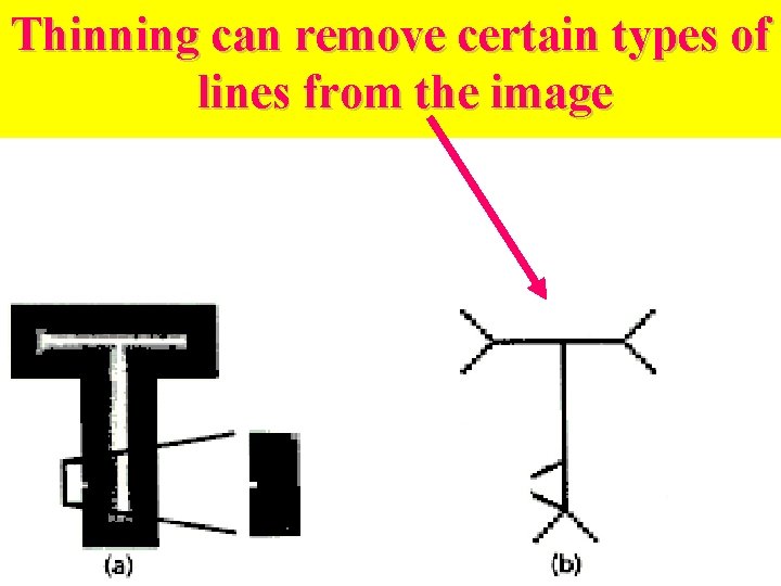 Thinning can remove certain types of lines from the image Thinning can remove certain types of lines from the image