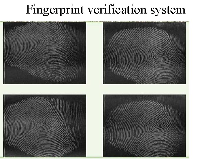 Fingerprint verification system Fingerprint verification system