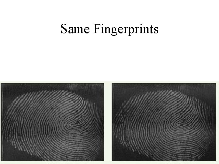 Same Fingerprints Same Fingerprints
