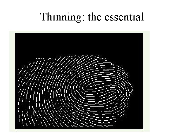 Thinning: the essential Thinning: the essential
