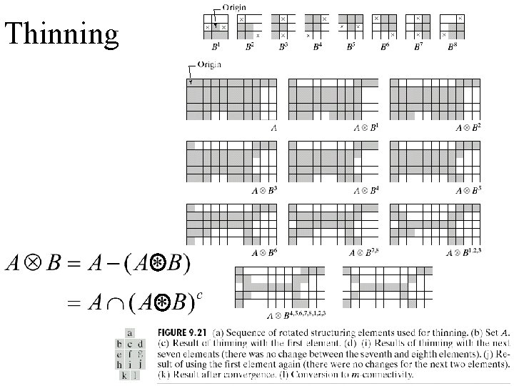 Thinning 63 Thinning 63