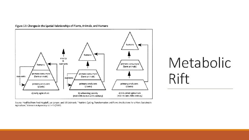Metabolic Rift 